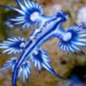 Meet your Posher, Madelyn